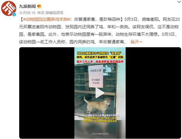 動物園回應(yīng)圈養(yǎng)雞羊狗 屬于珍稀品種