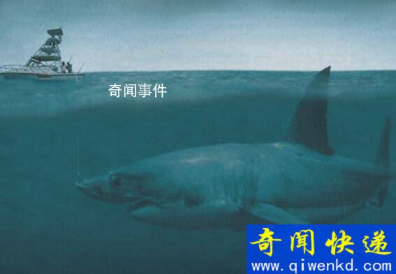 巨齒鯊滅絕了嗎 巨齒鯊現(xiàn)今是真的存在嗎?