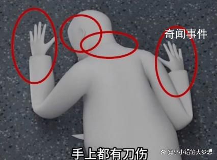 火車(chē)持刀殺人案細(xì)節(jié):嫌犯返回補(bǔ)刀
