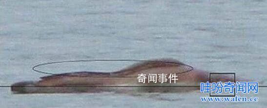 廣東湛江湖光巖水怪之謎 湛江湖光巖水怪真身是什么動物