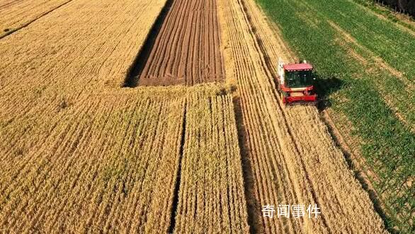 端牢中國飯碗 綜合施策保夏收