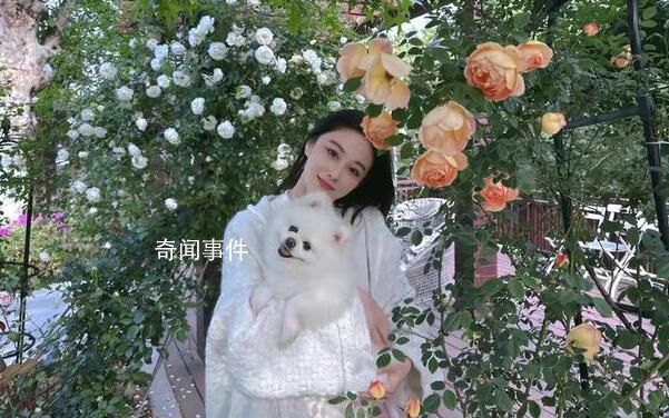 張馨予稱穿不上某品牌最大號衣服 引發了許多爭議