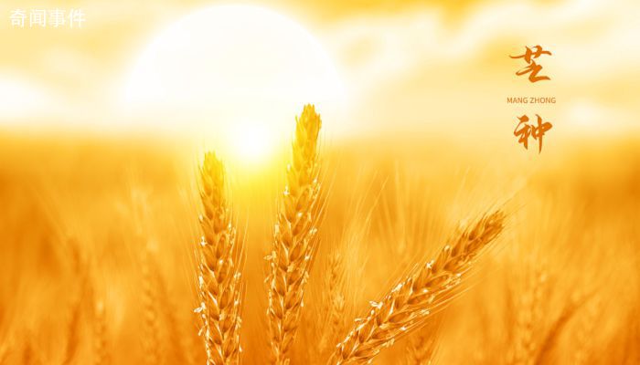2023年芒種節氣是幾月幾日 芒種習俗有哪些
