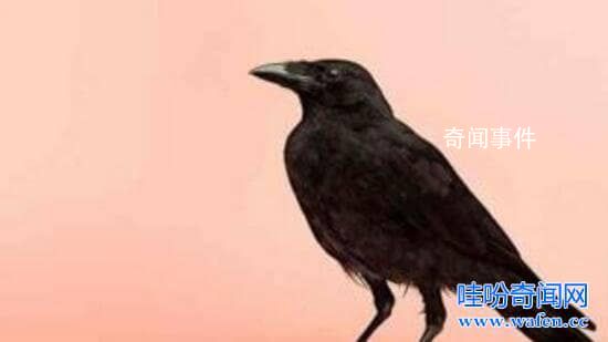 世界十大悖論及真相是什么 十大悖論有哪些