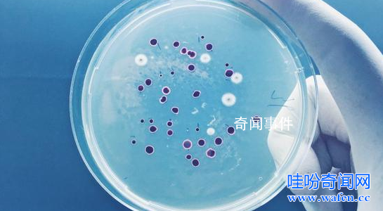 人類根本不是進(jìn)化來的 達(dá)爾文進(jìn)化論已經(jīng)被推翻了嗎