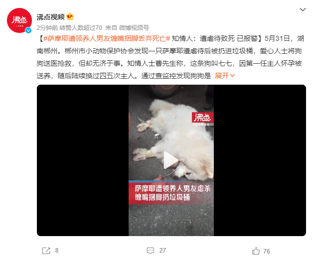 薩摩耶遭領養(yǎng)人男友捆腳丟棄死亡 警方建議走法律程序