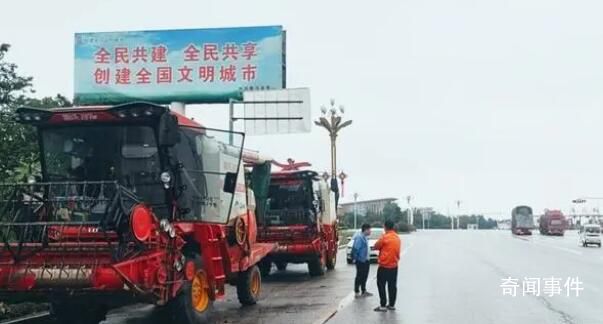 誰(shuí)拖了河南麥?zhǔn)蘸笸?媒體梳理分析