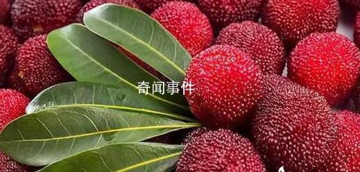 潮汕人吃楊梅真是腦洞大開 只要吃著口感好什么吃法都可以