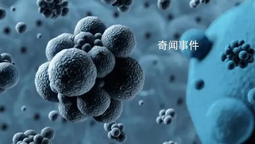 北京發(fā)現(xiàn)兩例猴痘病例 其中一例為境外輸入病例