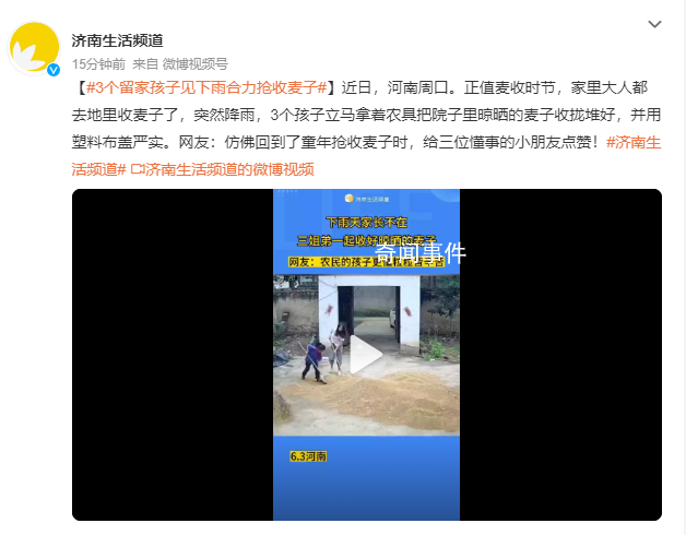 3個留家孩子見下雨合力搶收麥子 網友：仿佛回到了童年搶收麥子時