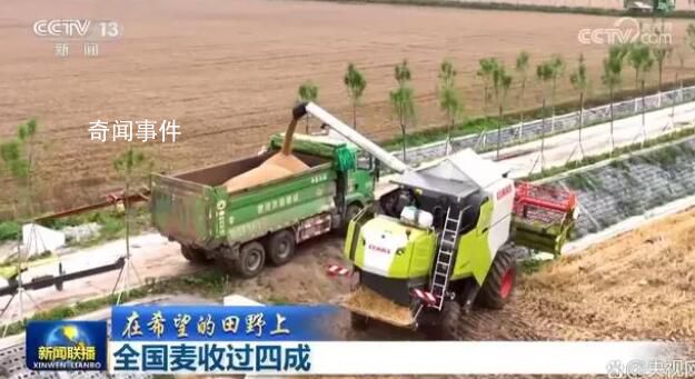 全國麥收過四成 夏收正陸續進入高峰