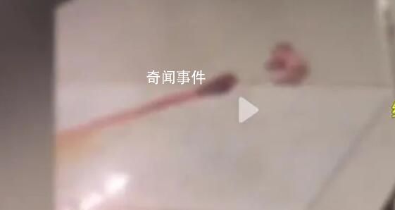 醫(yī)院回應(yīng)新生兒被遺留大廳 目前母嬰平安