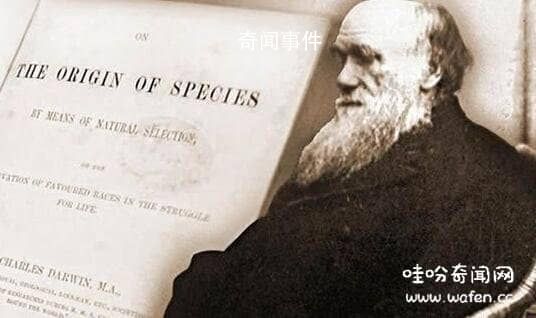 達(dá)爾文的進(jìn)化論是什么 達(dá)爾文晚年為什么推翻進(jìn)化論