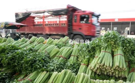 福州老農賣菜獲利14元被罰10萬 領了天價罰單