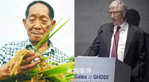 蓋茨北京演講盛贊袁隆平 稱其攻克了影響人們生活質(zhì)量的關(guān)鍵問題