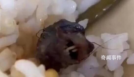 官方:頂格處罰鼠頭鴨脖涉事企業(yè)