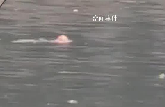 男子跳河輕生后悔漂浮河面等救援 幸得消防及時(shí)救起
