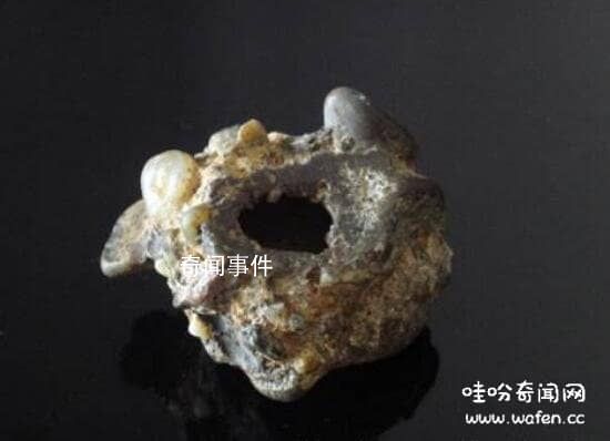 金陵神罐的價值是多少 金陵神罐奇石之謎是什么