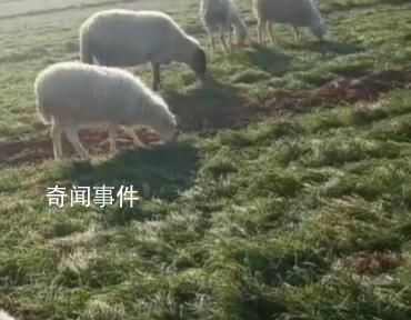鄰居講述山西男子殺妻滅子案 結(jié)婚后夫妻關(guān)系不太好