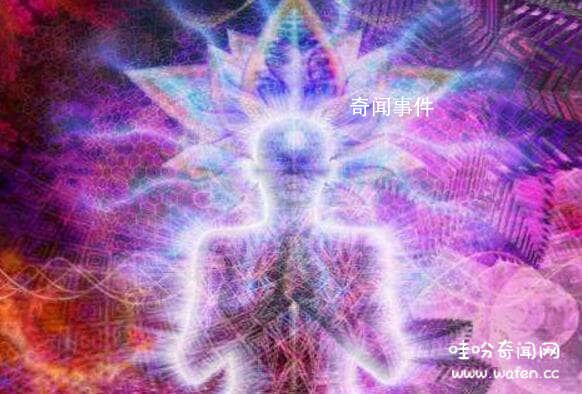 科學揭秘通靈現象未解之謎 比較常見的動物通靈現象有哪些