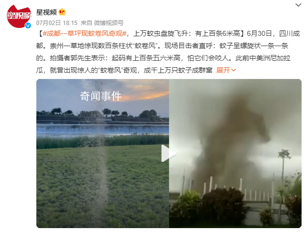 成都一草坪驚現(xiàn)上百條“蚊卷風(fēng)” 成千上萬只蚊子成群竄飛