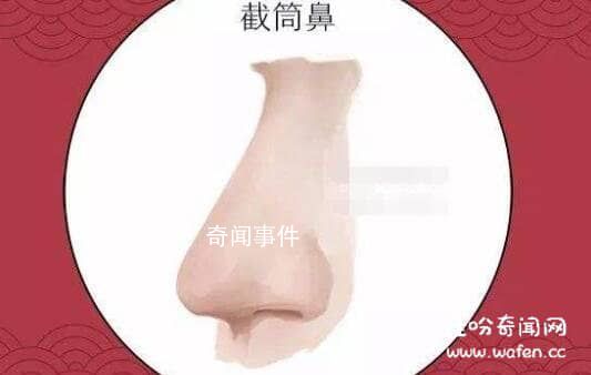 詳解相學最有福氣的7種鼻子 教你分辨哪種鼻子最有財運或長壽