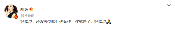 那英:還沒等到我們合作你就走了