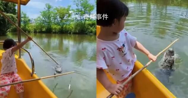 南京一動物園推出釣鱷魚項(xiàng)目 你敢讓孩子體驗(yàn)釣鱷魚嗎