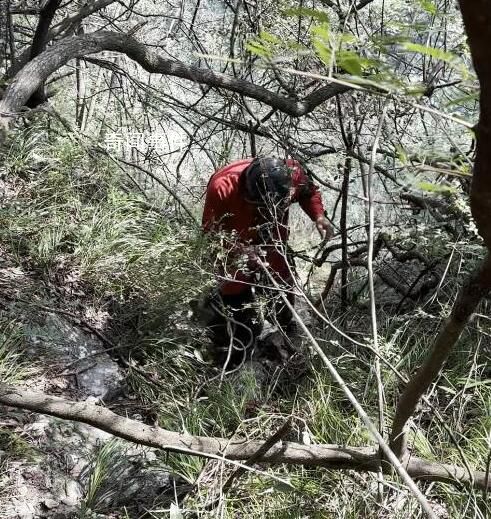 湖南女子為添道菜深山采蘑菇失聯 遺體是在懸崖下方約400米處發現