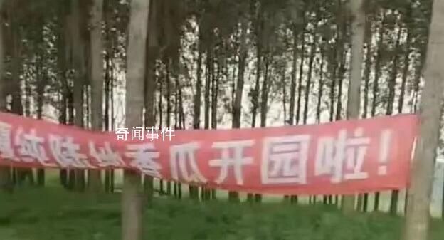 城管稱拆條幅事件已獲瓜農(nóng)諒解 引發(fā)網(wǎng)絡(luò)關(guān)注