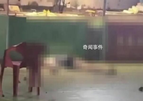高空拋磚致女子身亡事件最新進展 目前案件已提交至檢察院