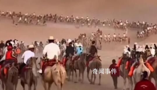 敦煌景區(qū)駱駝“罷工”?駝戶(hù)回應(yīng)