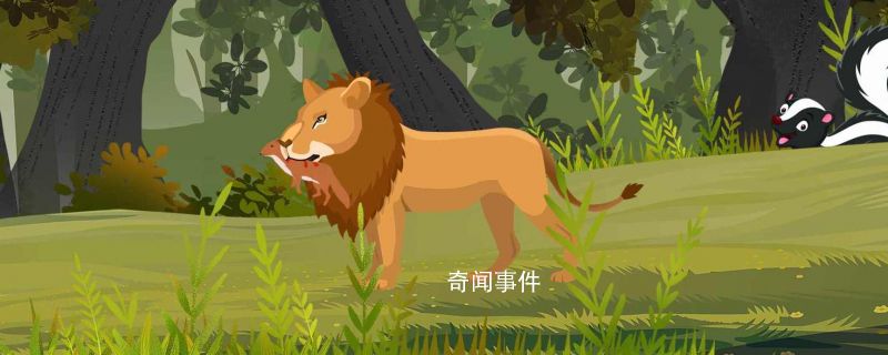 獅子會游泳嗎 獅子游泳能力怎么樣