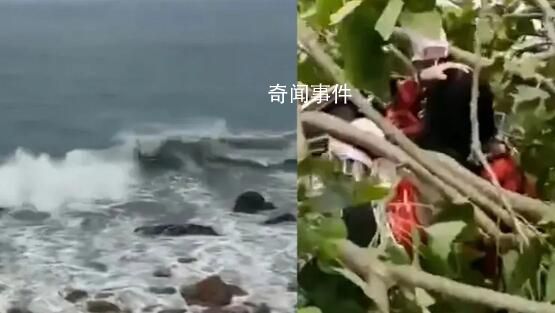 福建現10級風 有樹被吹斷砸到路人