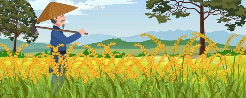8月8日立秋算早還是晚 立秋是入秋了嗎 立秋風(fēng)俗有哪些