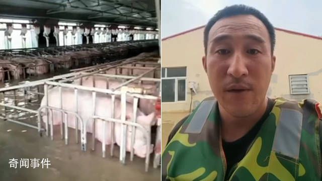 養(yǎng)豬場5000頭豬被洪水圍困 豬場水深七八十公分左右