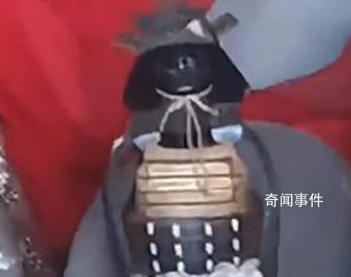 重慶豐都寺廟供奉日本邪神?當地通報
