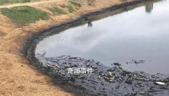 爾康制藥柬埔寨工廠遭令搬遷 公司必須在11月20日前修復當地環境