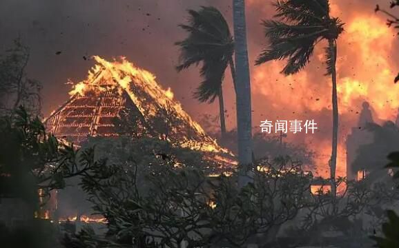 夏威夷山火起因或涉及電力公司 電力公司的基礎(chǔ)設(shè)施受損