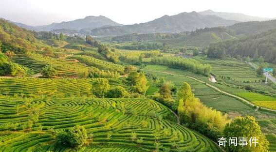 萬里河山如此多彩 8月15日首個(gè)全國生態(tài)日