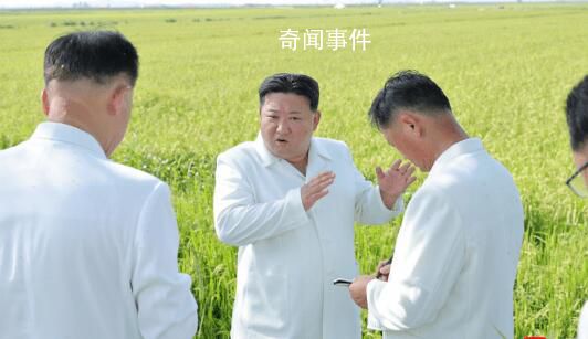 金正恩指導(dǎo)朝鮮空軍噴灑農(nóng)藥 現(xiàn)場指導(dǎo)消除臺風(fēng)災(zāi)害影響保護(hù)農(nóng)作物工作