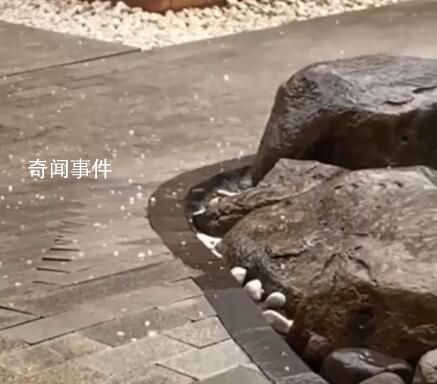 杭州突降冰雹 網(wǎng)友:開眼了