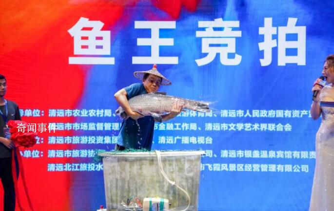 “魚王”拍出30萬 買家當(dāng)場放生