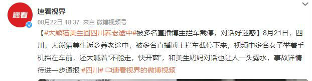 大熊貓美生返鄉被直播博主攔車截停 多名女子舉著手機擋在車前