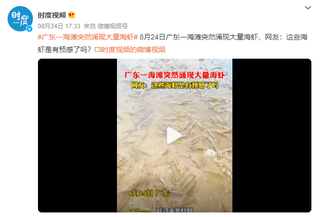 廣東一海灘突然涌現大量海蝦 網友：這些海蝦是有預感了嗎