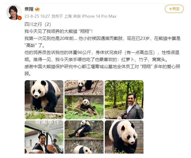 費翔見到了自己領養(yǎng)的大熊貓 費翔曬照分享四川之行
