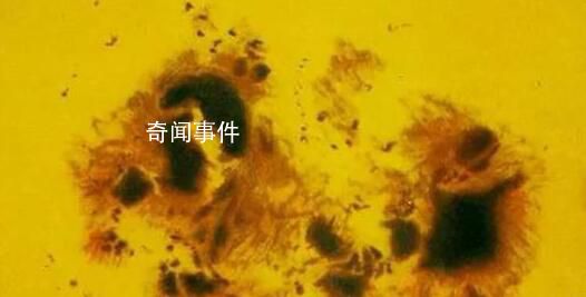 巨大太陽黑子或致地球電網癱瘓 這個黑子可能會釋放高能爆炸