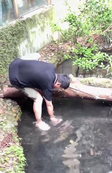 男子動物園鱷魚池內(nèi)打撈手機 視頻引發(fā)網(wǎng)友關(guān)注