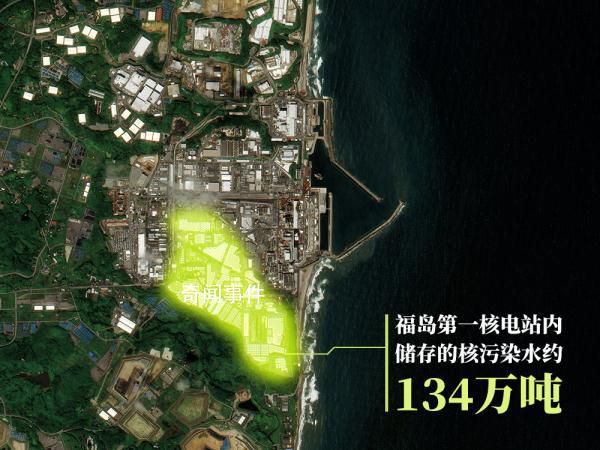 日本水產廳檢測魚類樣本僅2條 多個領域都出現了連鎖反應