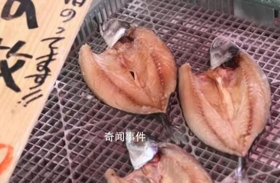 日本養殖戶訴苦兩億頭海參沒處賣 日本海鮮出口面臨滯銷